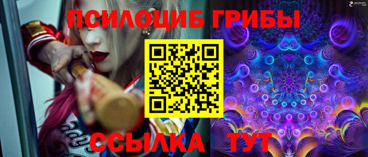 Галлюциногенные грибы MAGIC MUSHROOMS Борзя