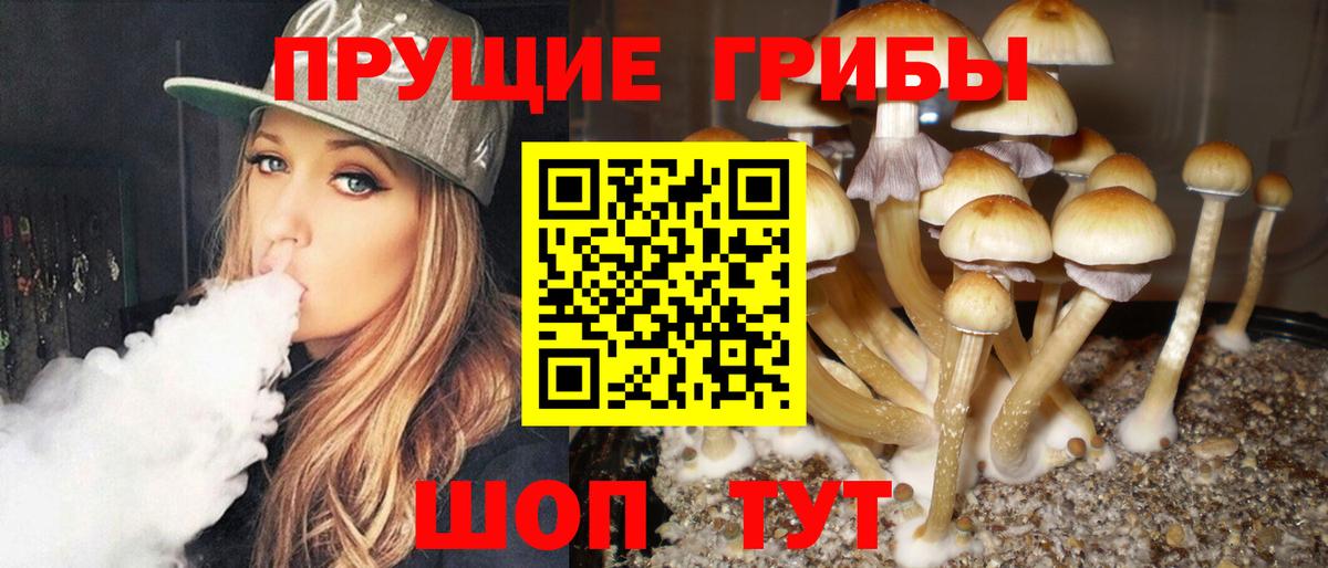 Галлюциногенные грибы Cubensis  Вход с VPN  Борзя 