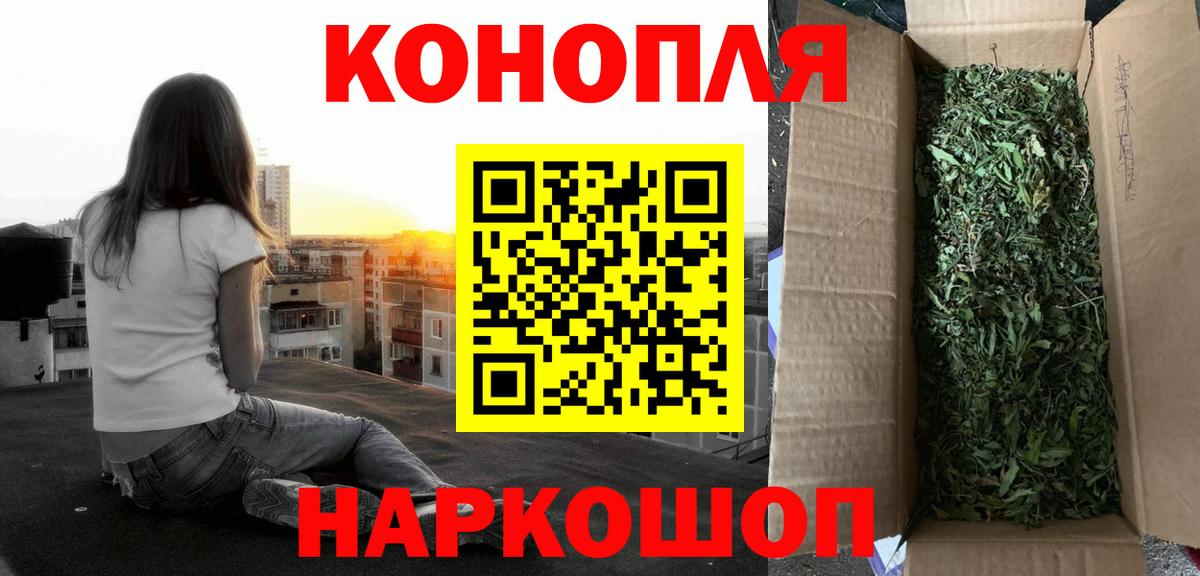 Каннабис сатива Борзя